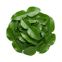 Kaffir Lime Leaf